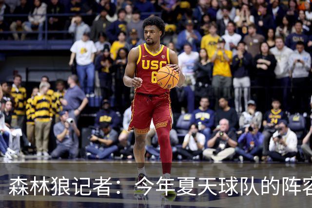 森林狼记者：今年夏天球队的阵容预计会有很大的变动